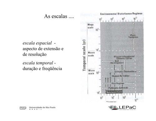 Ecologia da Paisagem: Conceitos e MÃ©todos de Pesquisa