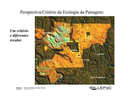 Ecologia da Paisagem: Conceitos e MÃ©todos de Pesquisa