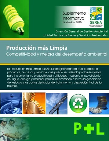 " ProducciÃ³n mÃ s Limpia Competitividad y Mejora del DesempeÃ±o ...