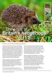 The state of Britain's hedgehogs - British Hedgehog Preservation ...