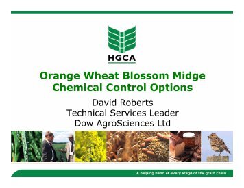 Orange Wheat Blossom Midge Chemical Control Options - HGCA
