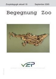 Begegnung Zoo - VZP