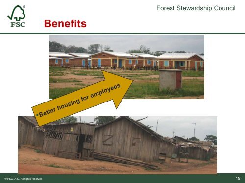 Progress of FSC certification in the Congo Basin Elie ... - WWF