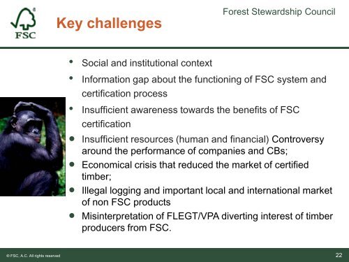 Progress of FSC certification in the Congo Basin Elie ... - WWF