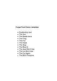 Fungal Food Chain templates - fungi4schools
