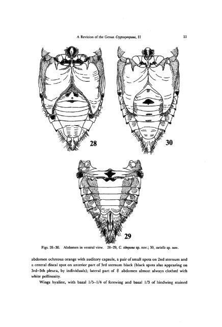 A Revision of the Genus Cryptotympana (Homoptera, Cicadidae)