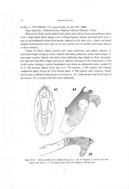 A Revision of the Genus Cryptotympana (Homoptera, Cicadidae)