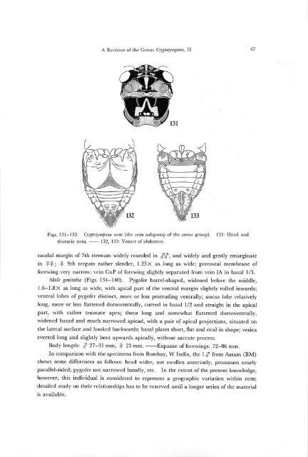 A Revision of the Genus Cryptotympana (Homoptera, Cicadidae)