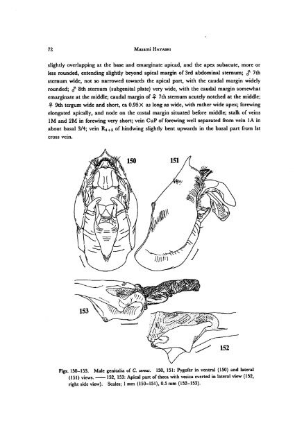 A Revision of the Genus Cryptotympana (Homoptera, Cicadidae)