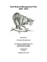 Utah Bobcat Management Plan 2007 - Utah Division of Wildlife ...