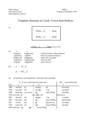 Templatic Structure in Czech: Vowel-final Prefixes