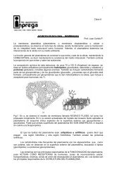 BIOLOGIA COMUN CLASE 6 membranas.pdf