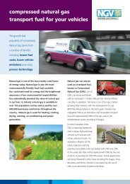 Natural Gas as a transport fuel brochure (PDF, 379Kb) - Bord Gais ...