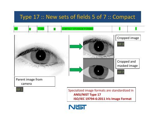 Iris - NIST Visual Image Processing Group - National Institute of ...