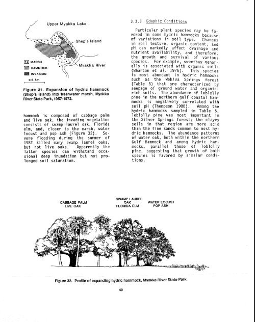 The Ecology of Hydric Hammocks - USGS National Wetlands ...