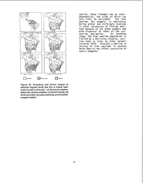 The Ecology of Hydric Hammocks - USGS National Wetlands ...