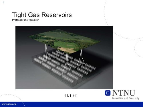 Reservoir engineering aspects of tight gas reservoir evaluation
