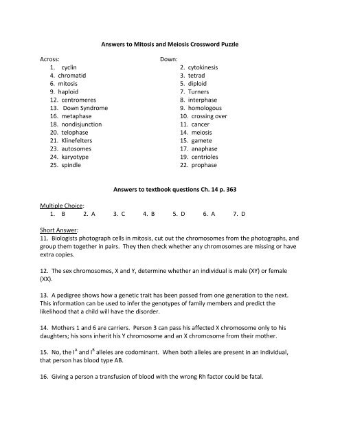 Answers To Mitosis And Meiosis Crossword Puzzle Across Down 1 