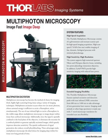 MULTIPHOTON MICROSCOPY - Thorlabs