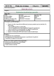 Fiche rÃ©vision rÃ©alisation phÃ©notype masculin - Bac S