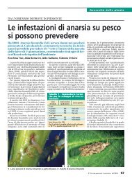 Le infestazioni di anarsia su pesco si possono prevedere - InfoKeeper