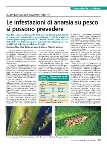 Le infestazioni di anarsia su pesco si possono prevedere - InfoKeeper