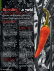 Breeding for yield