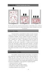 Unidade VII - Teoria CinÃ©tica dos Gases