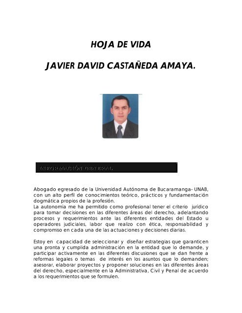 hoja de vida javier david castaÃ±eda amaya. - GobernaciÃ³n del ...