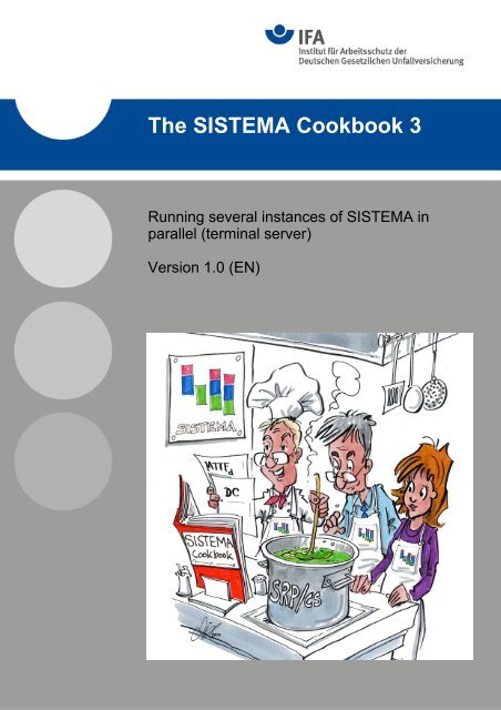 SISTEMA Cookbook 3: Running several instances of ... - DGUV