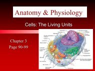 Anatomy & Physiology - Arkansas State University