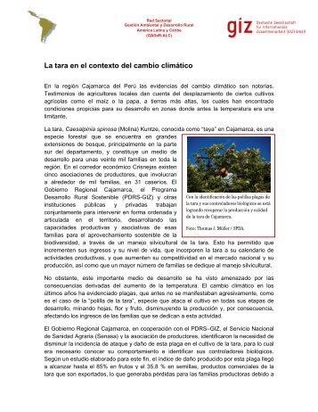 La tara en el contexto del cambio l contexto del cambio ... - PDRS