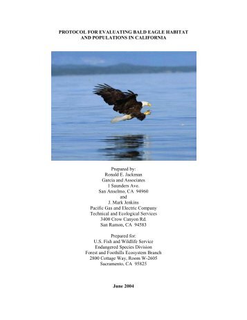 Protocol for Evaluating Bald Eagle Habitat and Populations