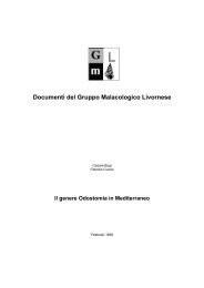 Documenti del Gruppo Malacologico Livornese - SocietÃƒÂ  Italiana di ...