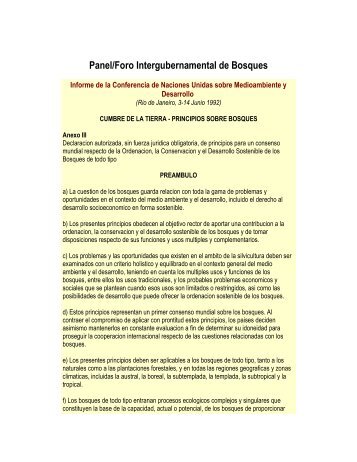 Panel/Foro Intergubernamental de Bosques - CEDAF
