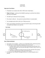 Flicker Ball Study Guide