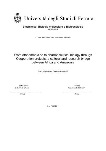 Tesi di Dottorato Useli - UniversitÃ  degli Studi di Ferrara