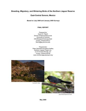 Breeding, Migratory, and Wintering Birds of the Northern ... - Eco-Index