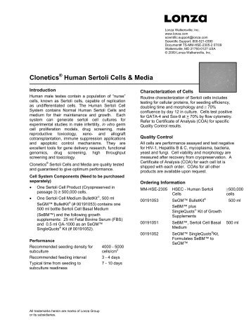 Human Sertoli Cells & Media - Biocenter