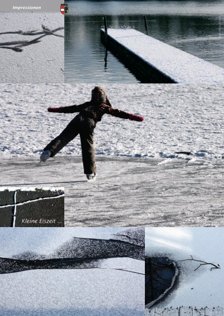 Der Bürgermeister informiert, Folge 1, Februar 2009 - in Laxenburg