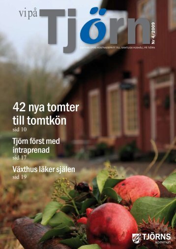 42 nya tomter till tomtkÃ¶n - TjÃ¶rns kommun