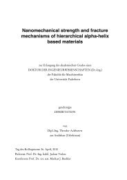 Nanomechanical strength and fracture mechanisms of hierarchical ...