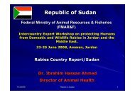 Rabies in Sudan - Middle East - OIE