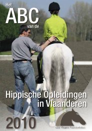 ABc van de hippische opleidingen in Vlaanderen - Jockey Club