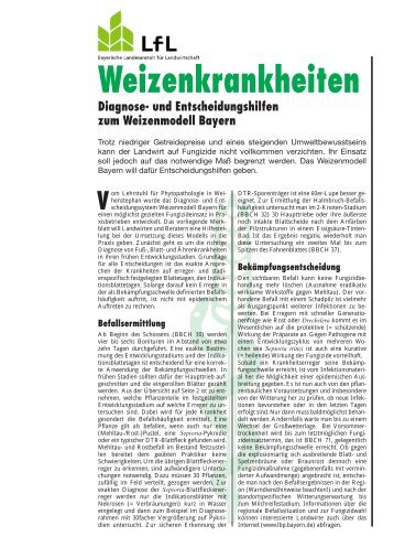 Weizenkrankheiten - Bayerische Landesanstalt für Landwirtschaft ...