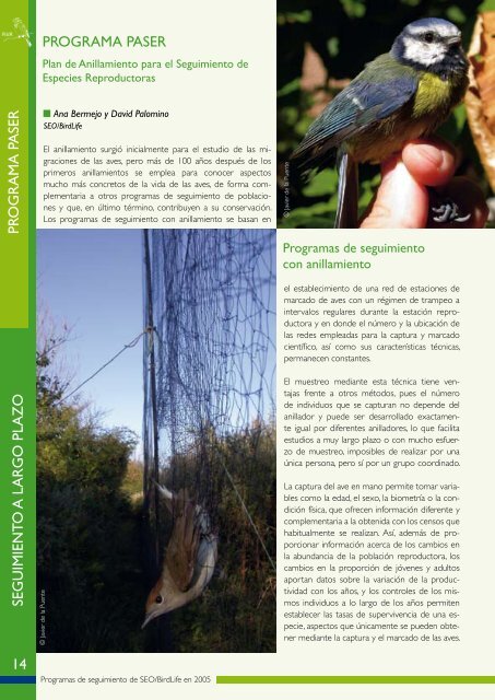 PROGRAMAS DE SEGUIMIENTO SEO/BirdLife