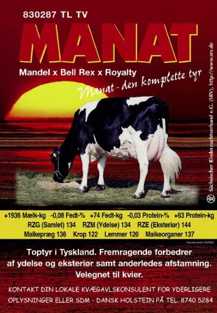 2-2003 - Dansk Holstein