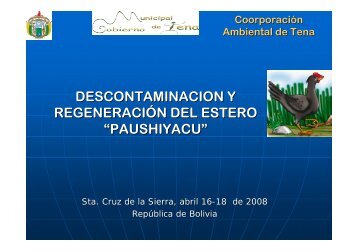 descontaminacion y regeneraciÃ³n del estero âpaushiyacuâ
