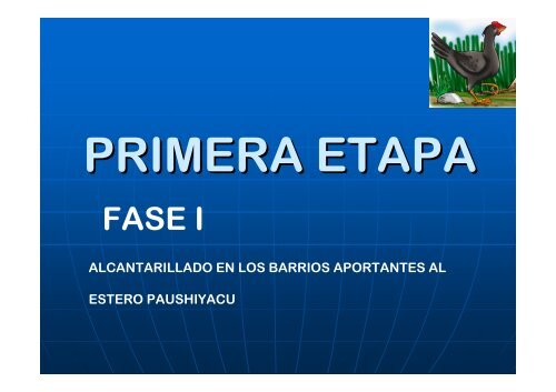 descontaminacion y regeneraciÃ³n del estero âpaushiyacuâ