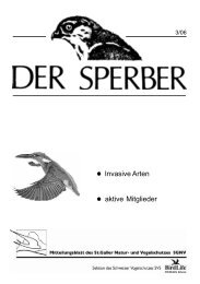 Sperber 3/06 - BirdLife St.Gallen